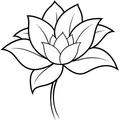    Flower vector illustration with line art.
