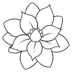    Flower vector illustration with line art.
