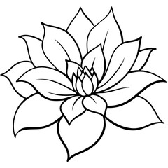    Flower vector illustration with line art.

