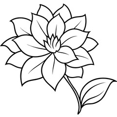    Flower vector illustration with line art.
