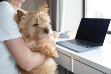 Close-up portrait of woman hugging cute dog at home	