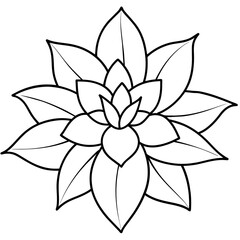    Flower vector illustration with line art.
