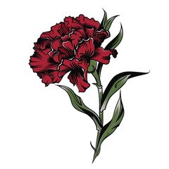Vibrant Red Carnation Flower in Detailed Botanical Style