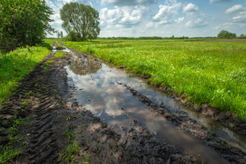 Mud and water on a dirt road next to a green meadow, view on a spring day