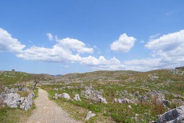 秋吉台のカルスト地形 山口県 日本