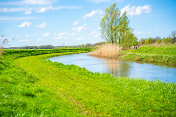 Nature with the canals in the netherlands at the county side near Diepenheim village, Holland