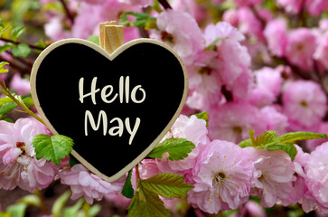 Hello May greeting card with decorative heart and pink spring flowers.Springtime concept with copy space.Selective focus.