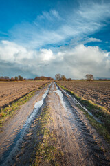 Vertical shot of a dirt road in a plowed field and clouds over the horizon, February day
