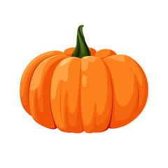 Ripe pumpkin on a white background. An autumn vegetable. Vector illustration.
