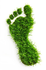 Top view of human footprint with grass texture, green, white background