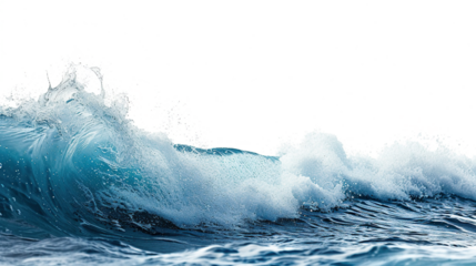 ocean wave on white background