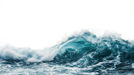 ocean wave on white background