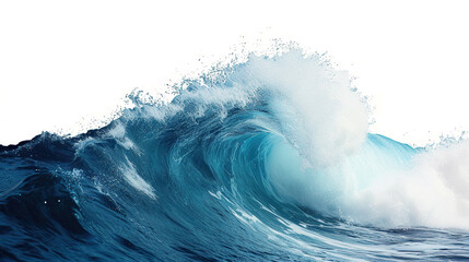 ocean wave on white background