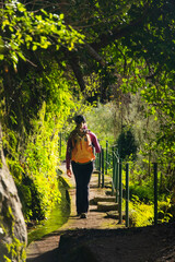 Tourist on Levada do Norte on the Portuguese island of Madeira. Levada irrigation canal. Hiking in Madeira. Narrow path next to the levada. Green tropical plants