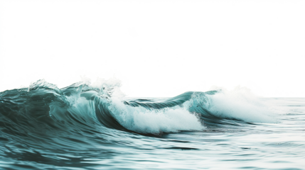 ocean wave on white background