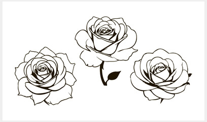 Doodle rose icon isolated Hand drawing line art Flower sketch Vector stock illustration EPS 10