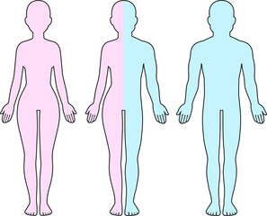 Adult male, female and half man half woman body outline. Gender identity, sex transition. Blank human shape diagram  illustration.
