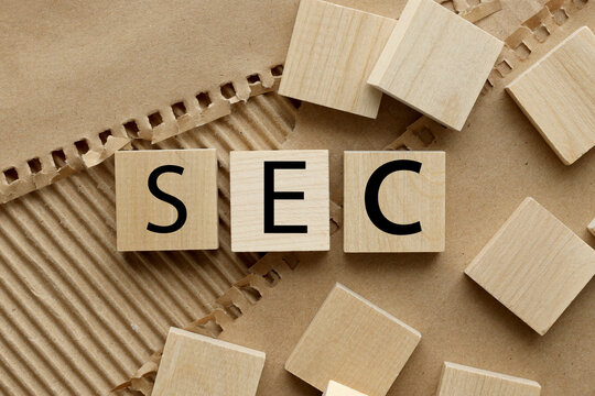 SEC wooden cubes with black font