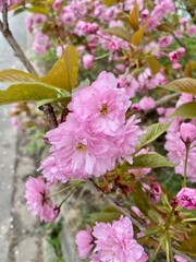 Wanderung um Wernrode