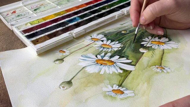Female hand painting with brush aquarelle watercolor floral art video. Palette on background. Daisies camomiles fields meadow flowers and grasses. Green yellow overflowing colors. Close up Full HD