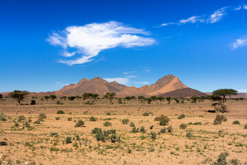Fototapeta na wymiar mountains appear behind the sahara desert on the way to the moroccan atlas