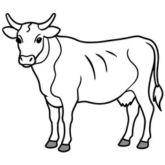   cat vector illustration.
