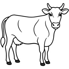   cat vector illustration.
