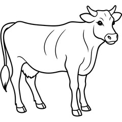   cat vector illustration.
