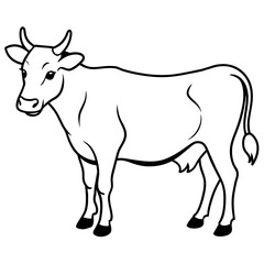   cat vector illustration.
