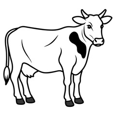   cat vector illustration.
