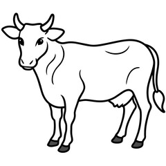   cat vector illustration.
