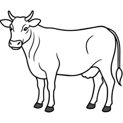   cat vector illustration.
