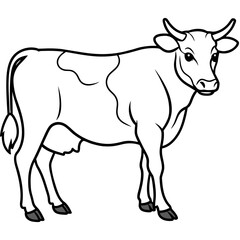   cat vector illustration.
