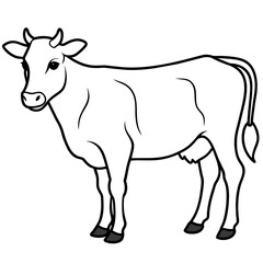   cat vector illustration.
