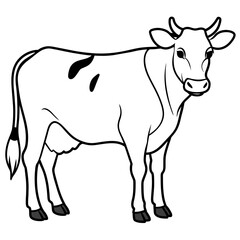   cat vector illustration.
