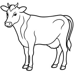     cow vector illustration
