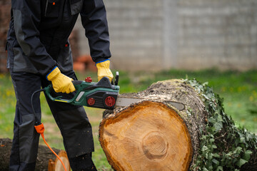 A man in uniform cuts an old tree in the yard with an electric saw - obrazy, fototapety, plakaty