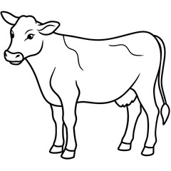     cow vector illustration
