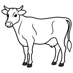     cow vector illustration
