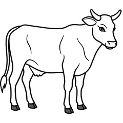     cow vector illustration
