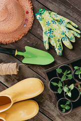 Gardening tools and sprout on the wooden floor Top view
