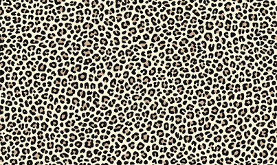 black and white leopard print pattern on the ground, flat illustration style, vector graphics, simple lines, minimalism, no shadows, white background, high resolution