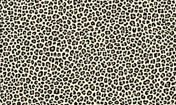 black and white leopard print pattern on the ground, flat illustration style, vector graphics, simple lines, minimalism, no shadows, white background, high resolution