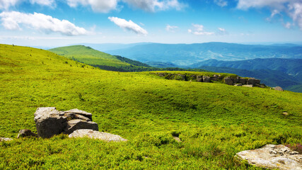 alpine meadows of carpathians. scenery with green grass beneath a blue sky with clouds. summer vacations in ukrainian mountains - 784602023