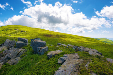 green alpine hills and meadow of carpathians in dappled light. stones among the grass beneath a blue sky with fluffy clouds. summer vacations in ukrainian mountains - obrazy, fototapety, plakaty