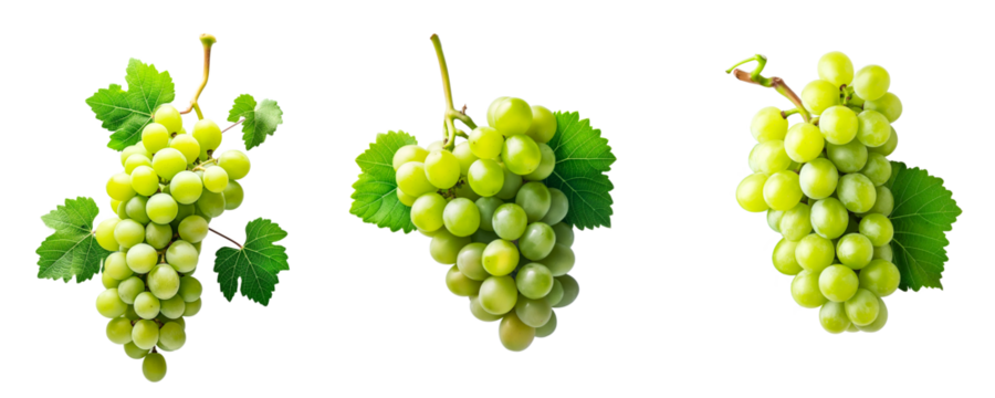 Bunch of green grapes with leaves isolated on transparent background - Powered by Adobe