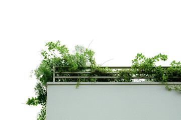 Minimalist White Concrete Wall with Overgrown Greenery on Top