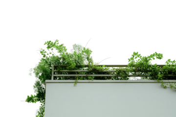 Minimalist White Concrete Wall with Overgrown Greenery on Top