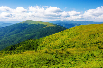 rolling landscape of carpathian mountains in evening light. mountainous scenery of transcarpathia, ukraine in summer. view from the hillside of smooth or runa mnt.