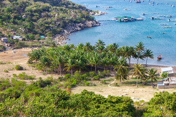 Fototapeta na wymiar Beautiful Landscape With Coconut Trees On The Shore Of Vinh Hy Bay In Ninh Thuan, Vietnam.